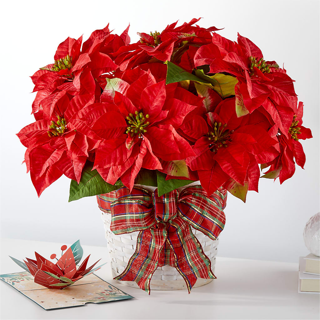 Happiest Holidays Poinsettia and Lovepop Card – KAREN'S AND TINA'S FLOWERS, Newmarket ON