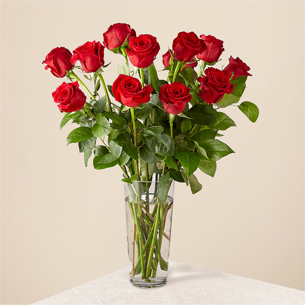 Long Stem Red Rose Bouquet – KAREN'S AND TINA'S FLOWERS, Newmarket ON