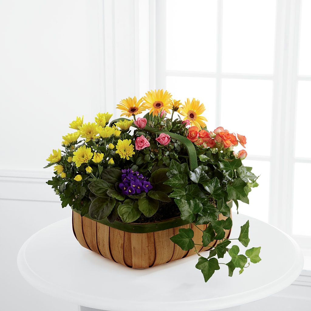Gentle Blossoms Basket – KAREN'S AND TINA'S FLOWERS, Newmarket ON
