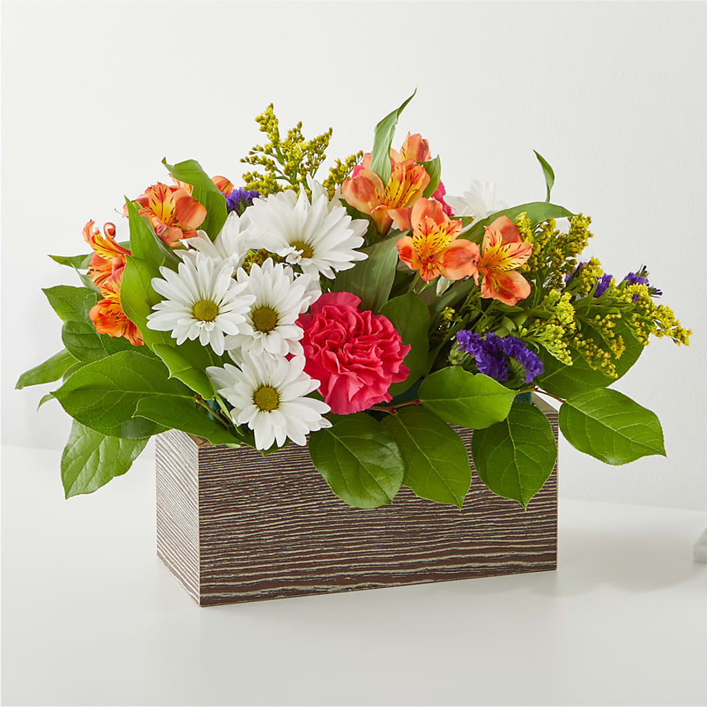 Oopsie Daisy Box Bouquet – KAREN'S AND TINA'S FLOWERS, Newmarket ON