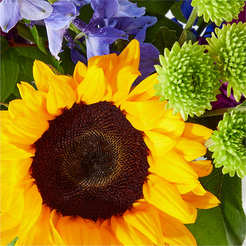 Catching Rays Bouquet – KAREN'S AND TINA'S FLOWERS, Newmarket ON