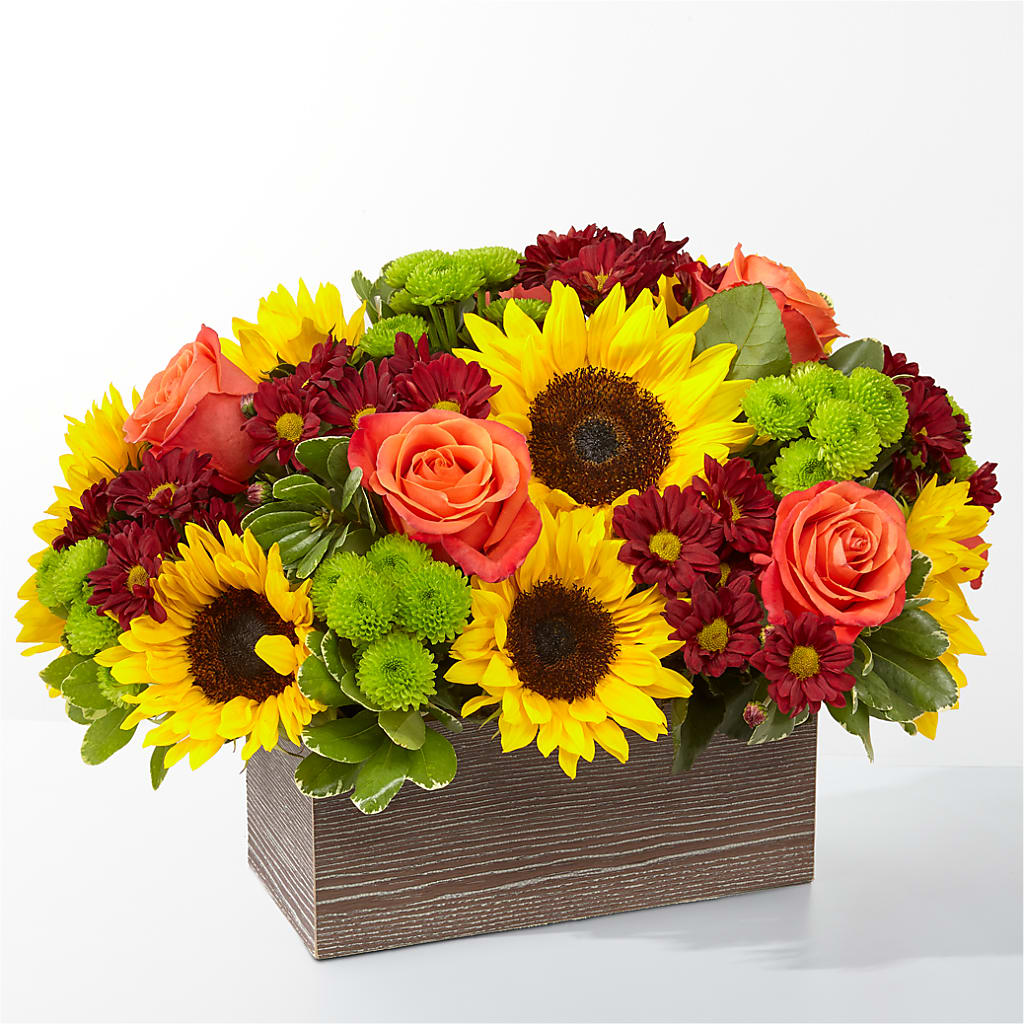 Happy Harvest Garden – KAREN'S AND TINA'S FLOWERS, Newmarket ON