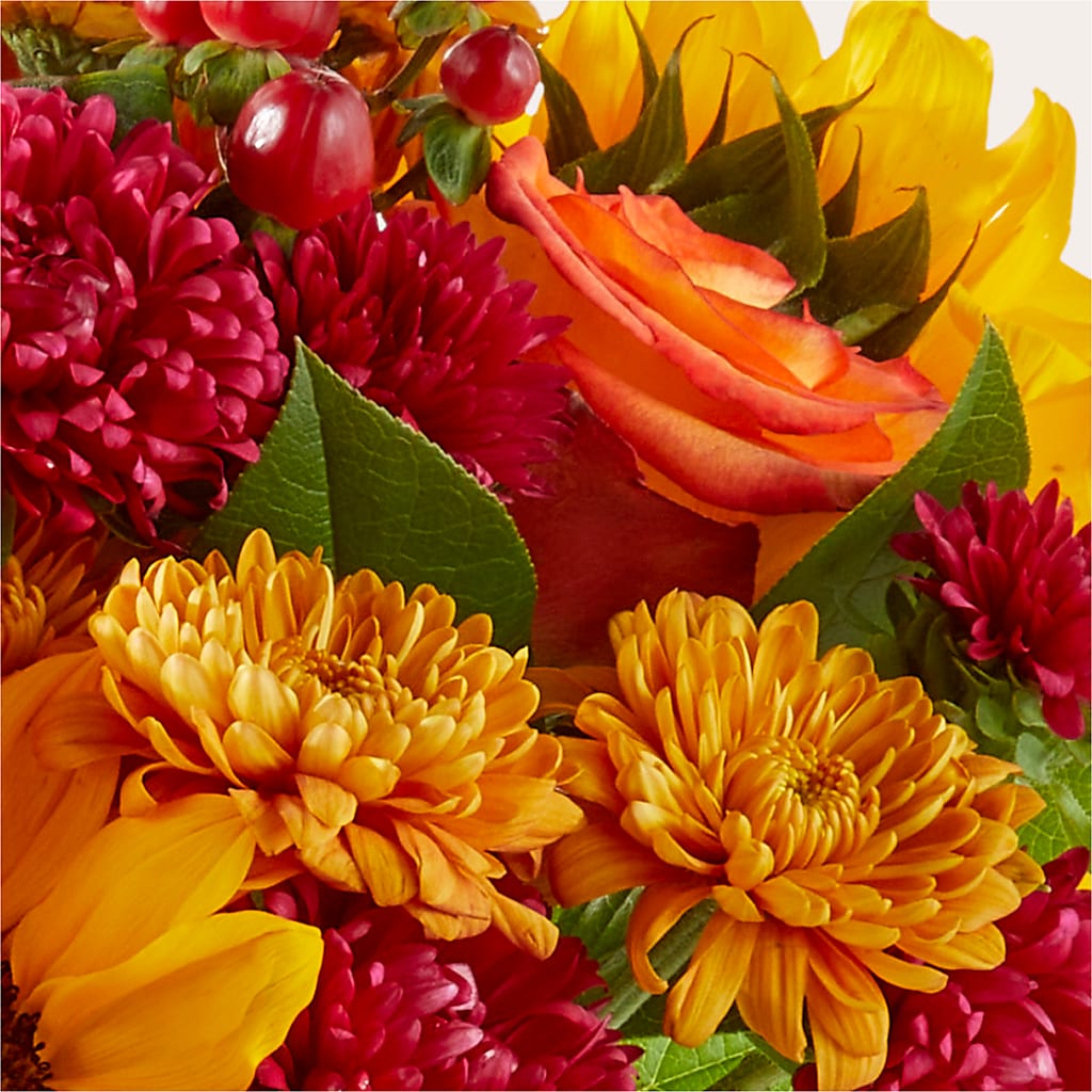 Sweater Season - A Florist Original – KAREN'S AND TINA'S FLOWERS, Newmarket ON