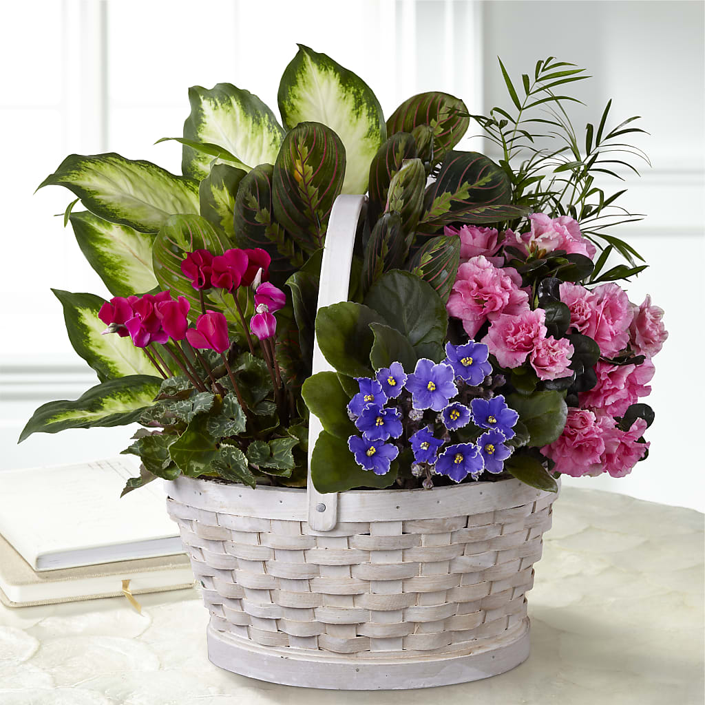 Peaceful Garden Planter – KAREN'S AND TINA'S FLOWERS, Newmarket ON