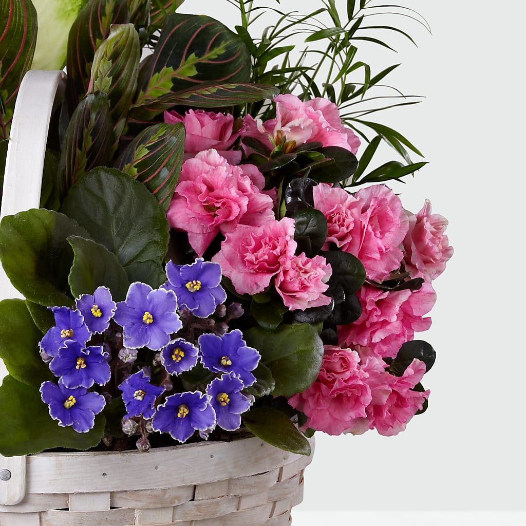 Peaceful Garden Planter – KAREN'S AND TINA'S FLOWERS, Newmarket ON