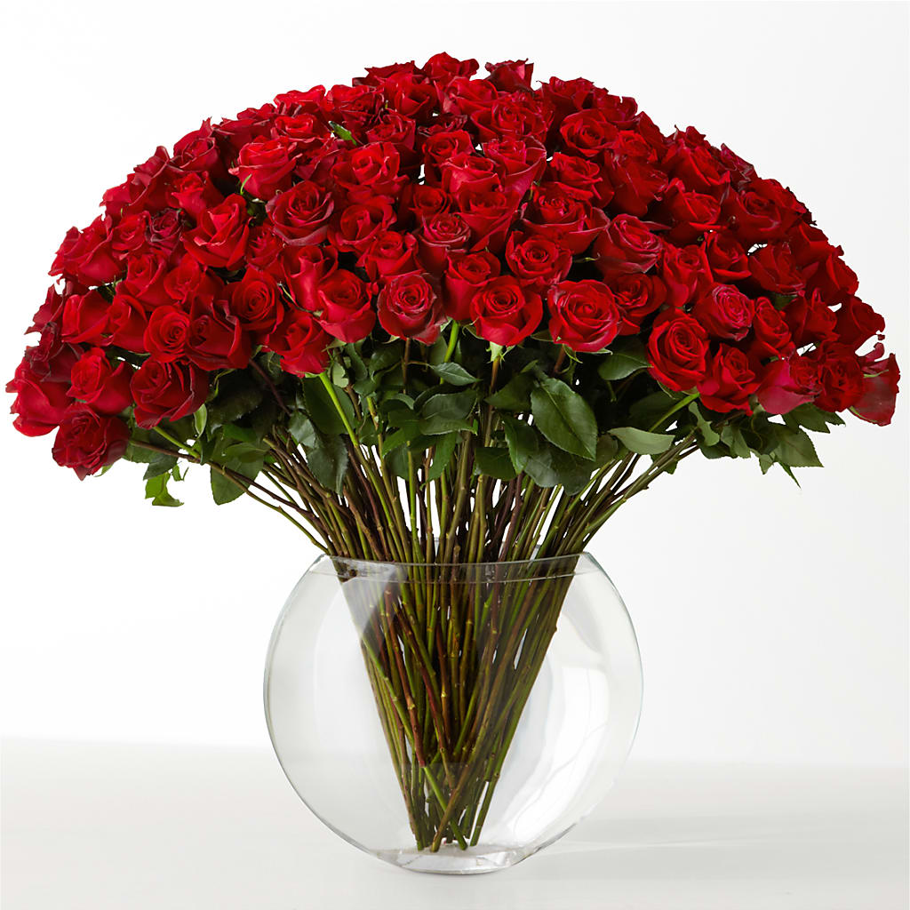 The Idealist – KAREN'S AND TINA'S FLOWERS, Newmarket ON