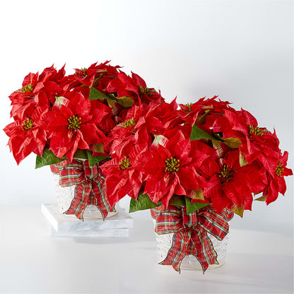 Happiest Holidays Poinsettia Bundle – KAREN'S AND TINA'S FLOWERS, Newmarket ON