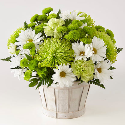 Lucky Charm Basket (Standard) – KAREN'S AND TINA'S FLOWERS, Newmarket ON