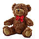 Adorable Plush Bear – KAREN'S AND TINA'S FLOWERS, Newmarket ON
