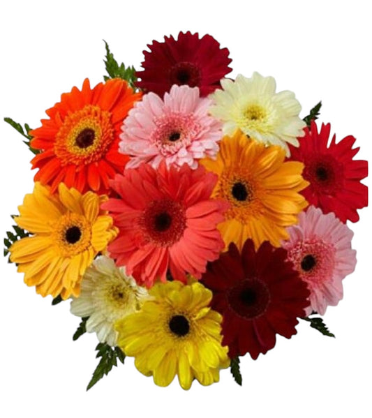 Bouquet de marguerites Gerbera