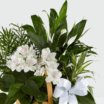 Peace & Serenity Dishgarden – KAREN'S AND TINA'S FLOWERS, Newmarket ON