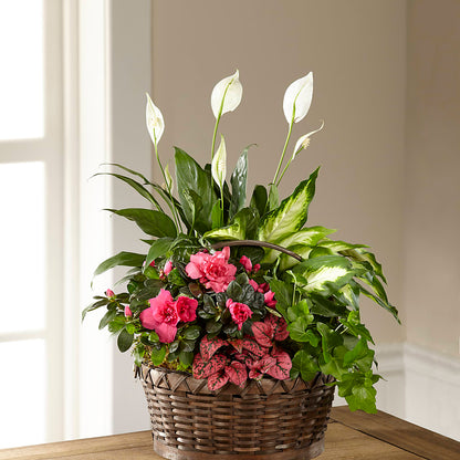 Dream in Pink Dishgarden – KAREN'S AND TINA'S FLOWERS, Newmarket ON