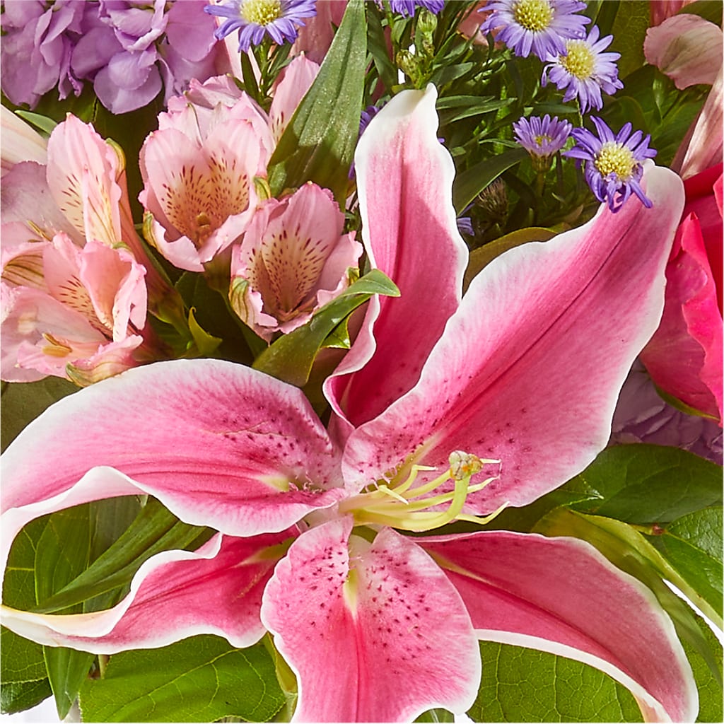 Written in the Stars Bouquet – KAREN'S AND TINA'S FLOWERS, Newmarket ON