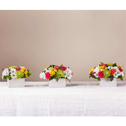 Sorbet Bouquet – KAREN'S AND TINA'S FLOWERS, Newmarket ON