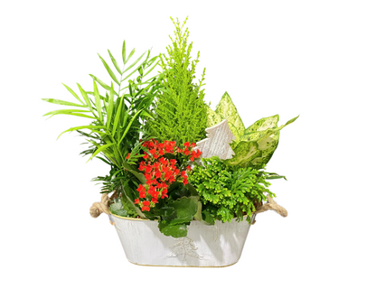CHRISTMAS OVAL TIN PLANTER – KAREN'S AND TINA'S FLOWERS, Newmarket ON