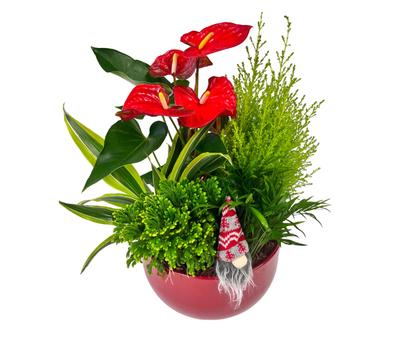 CHRISTMAS RED XL MIX TROPICAL – KAREN'S AND TINA'S FLOWERS, Newmarket ON