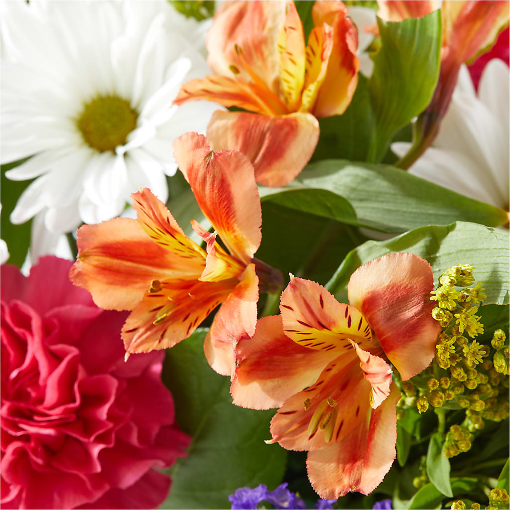 Oopsie Daisy Box Bouquet – KAREN'S AND TINA'S FLOWERS, Newmarket ON