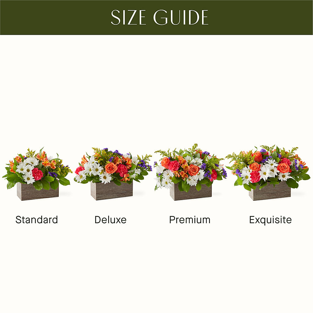 Oopsie Daisy Box Bouquet – KAREN'S AND TINA'S FLOWERS, Newmarket ON