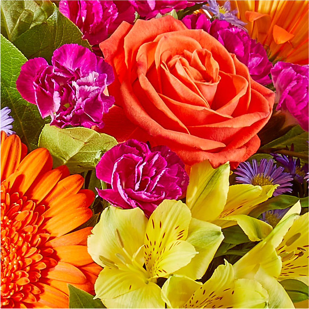 Tricks & Treats Pumpkin – KAREN'S AND TINA'S FLOWERS, Newmarket ON