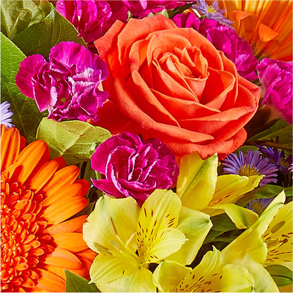 Tricks & Treats Pumpkin – KAREN'S AND TINA'S FLOWERS, Newmarket ON