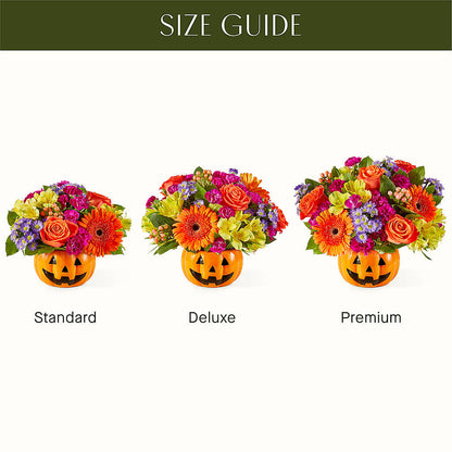 Tricks & Treats Pumpkin – KAREN'S AND TINA'S FLOWERS, Newmarket ON