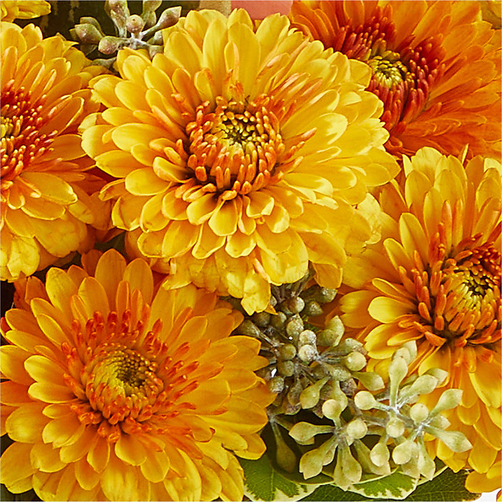 Peachy Pumpkin – KAREN'S AND TINA'S FLOWERS, Newmarket ON