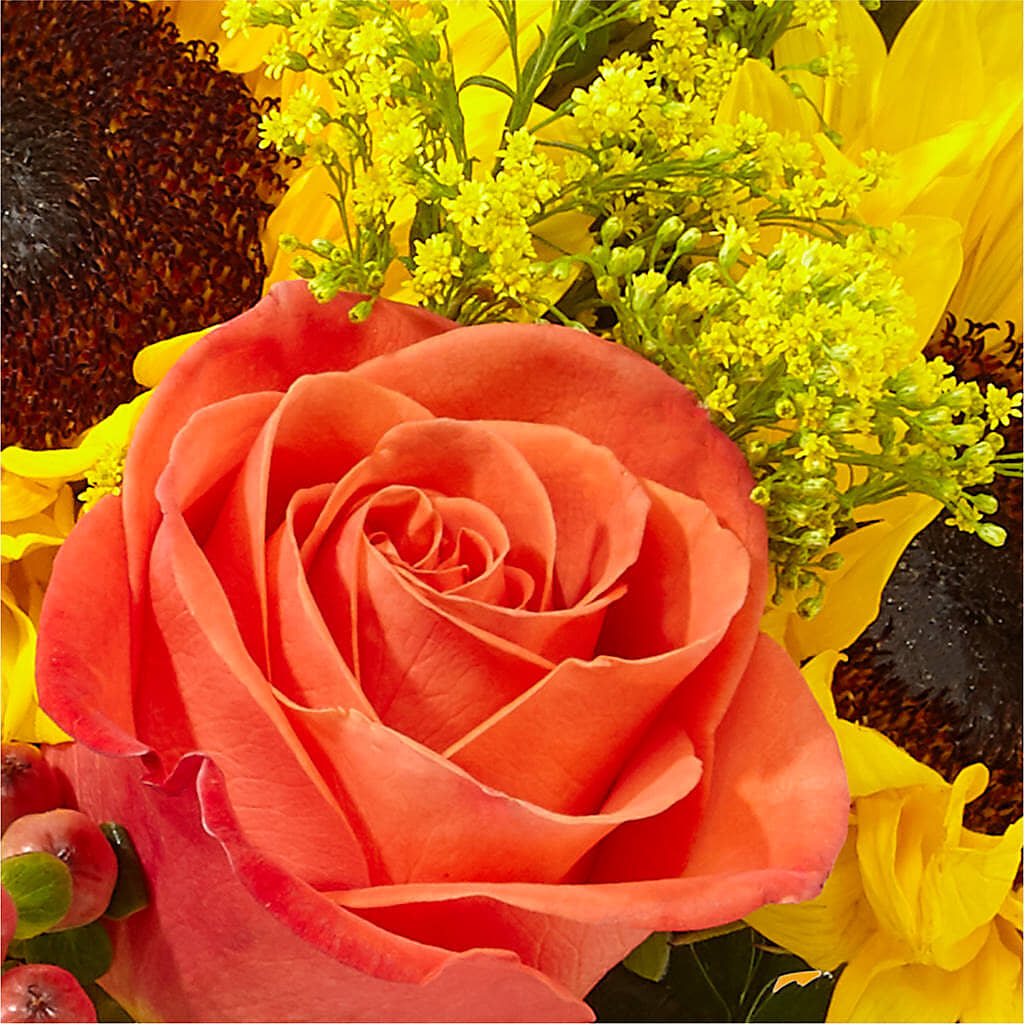 Pick of the Patch Pumpkin Bouquet – KAREN'S AND TINA'S FLOWERS, Newmarket ON
