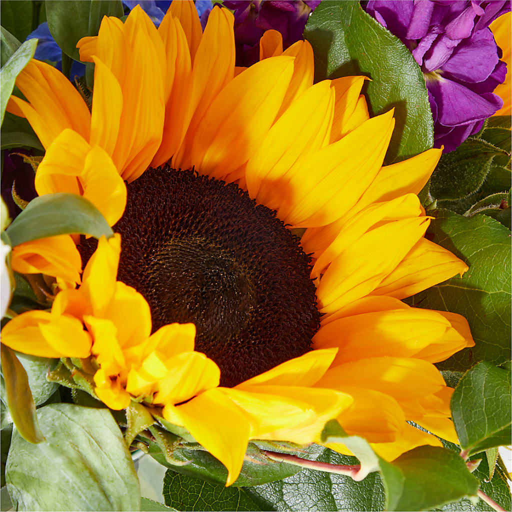 Catching Rays Bouquet – KAREN'S AND TINA'S FLOWERS, Newmarket ON