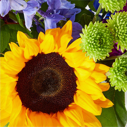 Catching Rays Bouquet – KAREN'S AND TINA'S FLOWERS, Newmarket ON