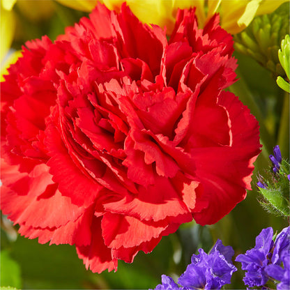 Brighter Days Bouquet – KAREN'S AND TINA'S FLOWERS, Newmarket ON