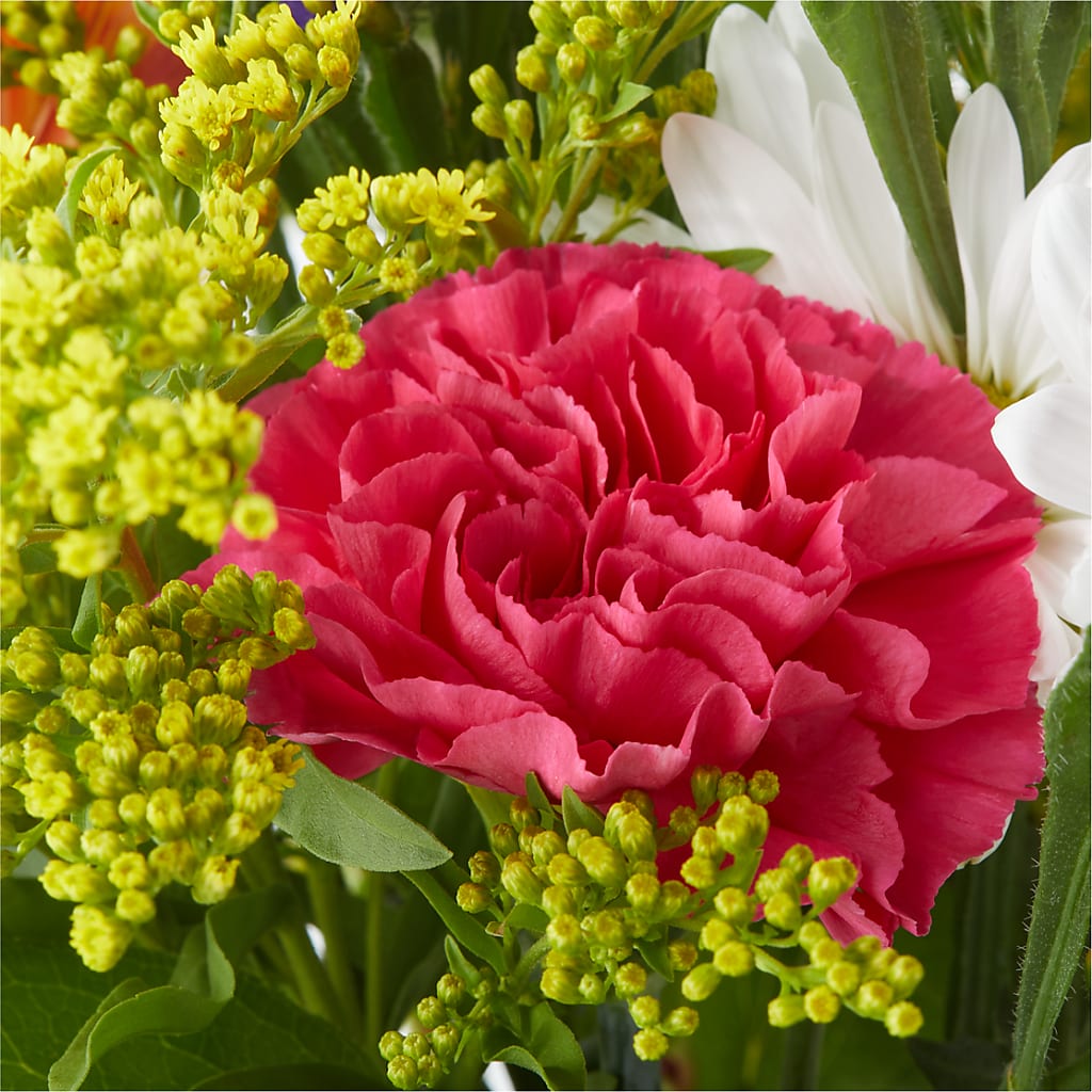 Oopsie Daisy Bouquet – KAREN'S AND TINA'S FLOWERS, Newmarket ON