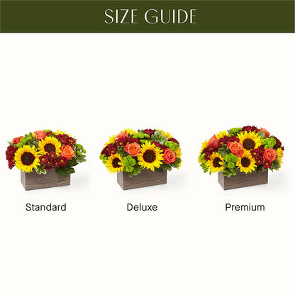 Happy Harvest Garden – KAREN'S AND TINA'S FLOWERS, Newmarket ON