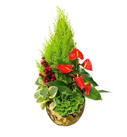 Christmas Gold Mix – KAREN'S AND TINA'S FLOWERS, Newmarket ON