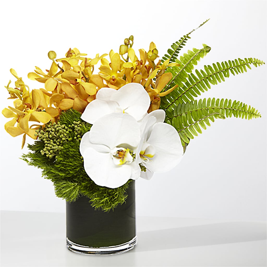 The Tropics – KAREN'S AND TINA'S FLOWERS, Newmarket ON
