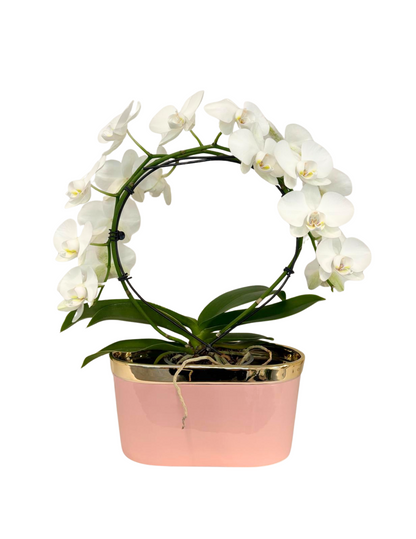 Mother's Day Infinity circle – KAREN'S AND TINA'S FLOWERS, Newmarket ON