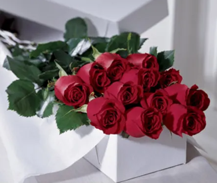 PREMIUM LONG STEM ROSES