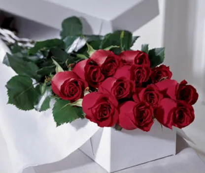 PREMIUM LONG STEM ROSES
