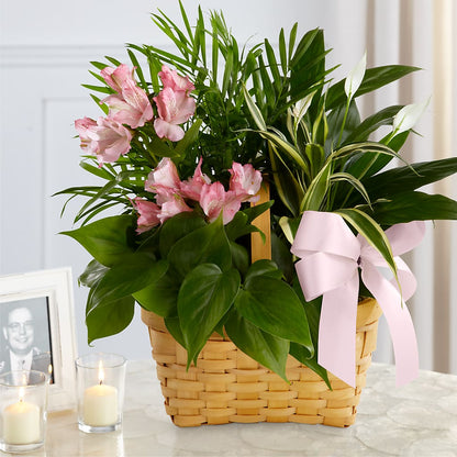 Living Spirit Dishgarden – KAREN'S AND TINA'S FLOWERS, Newmarket ON