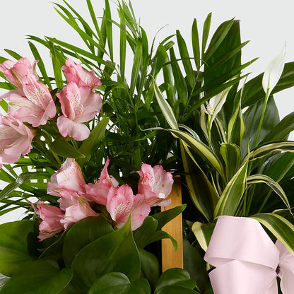 Living Spirit Dishgarden – KAREN'S AND TINA'S FLOWERS, Newmarket ON