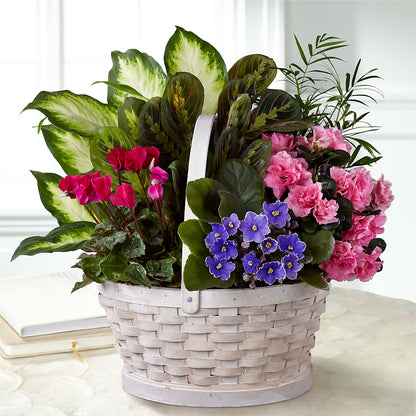Peaceful Garden Planter – KAREN'S AND TINA'S FLOWERS, Newmarket ON
