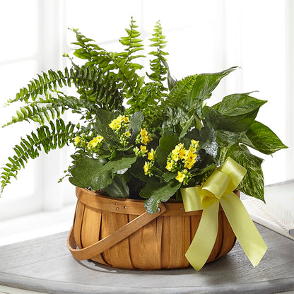 Always Dear Dishgarden – KAREN'S AND TINA'S FLOWERS, Newmarket ON