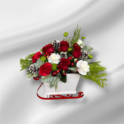 Winter Sleigh Elegance