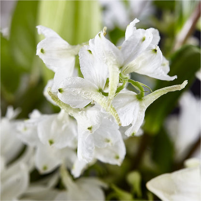 Classic Ivory – A Florist Original – KAREN'S AND TINA'S FLOWERS, Newmarket ON