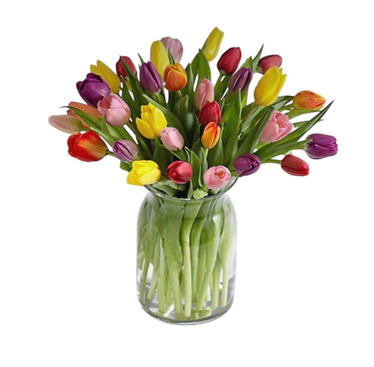 Assorted tulip vase