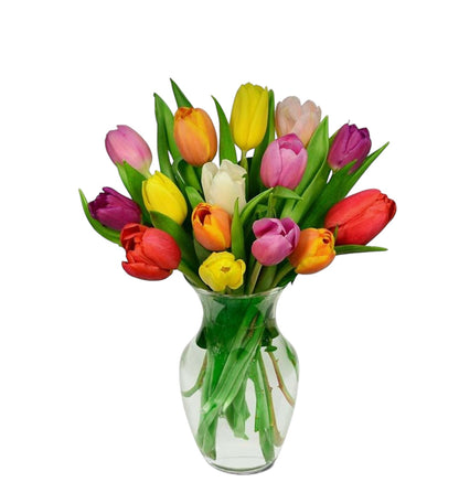 Assorted tulip vase