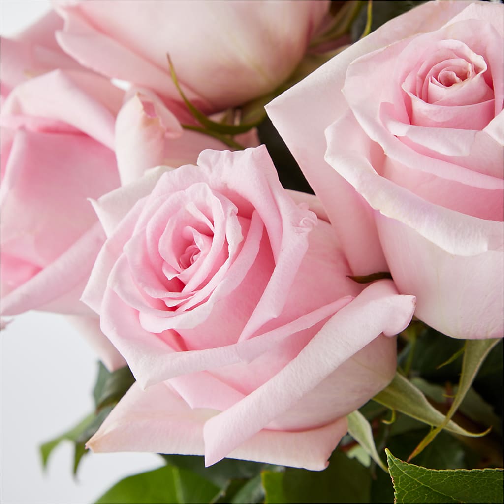 Picture Perfect Pink Rose Bouquet – KAREN'S AND TINA'S FLOWERS, Newmarket ON