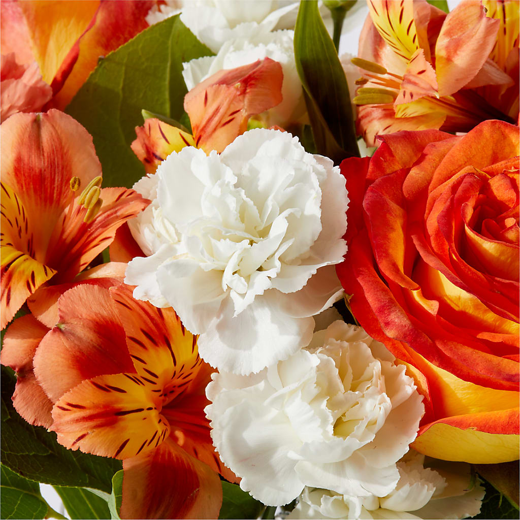 Apricot Glow Bouquet – KAREN'S AND TINA'S FLOWERS, Newmarket ON