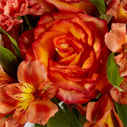 Apricot Glow Bouquet – KAREN'S AND TINA'S FLOWERS, Newmarket ON