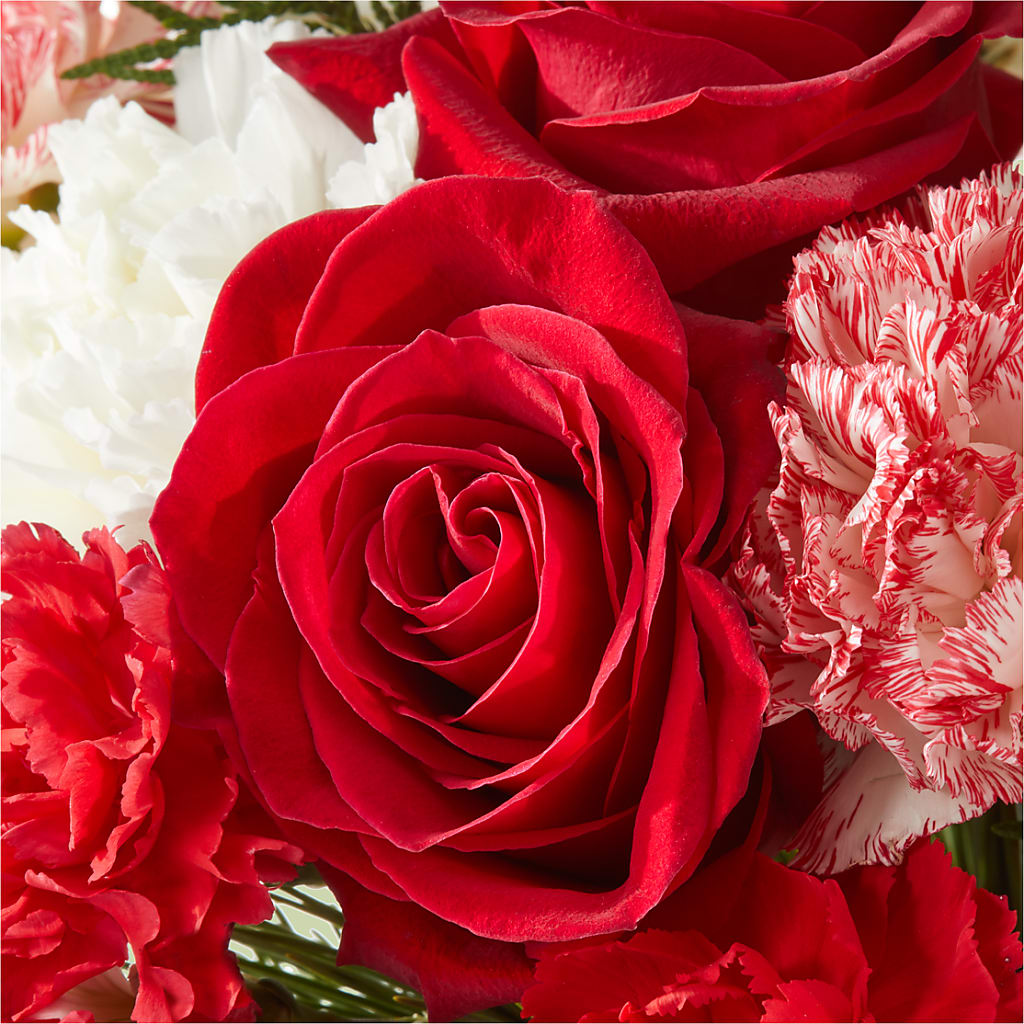 Candy Cane Lane Bouquet – KAREN'S AND TINA'S FLOWERS, Newmarket ON