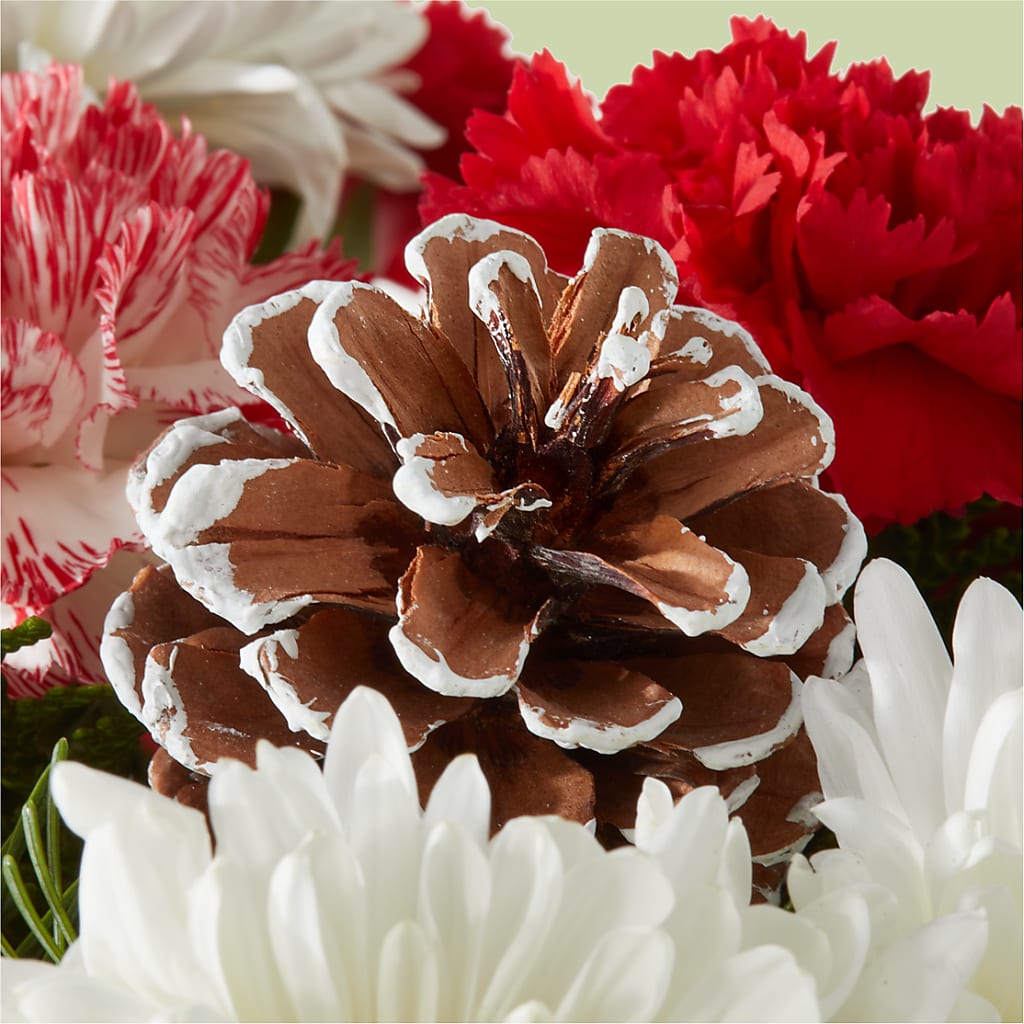 Candy Cane Lane Bouquet – KAREN'S AND TINA'S FLOWERS, Newmarket ON